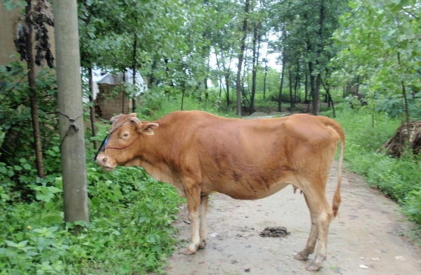 吐鲁番最新求一个套医保卡的黄牛是真的吗方法分析(最方便真实的吐鲁番求一个套医保卡的黄牛是真的吗还是假的方法)